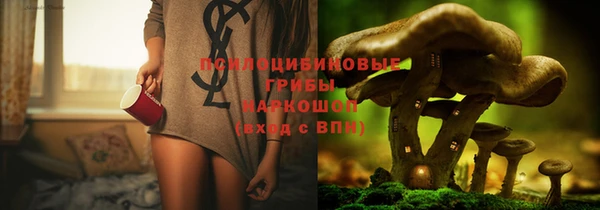 прущие грибы Киренск