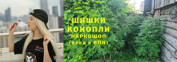 прущие грибы Киренск