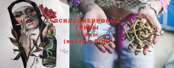 прущие грибы Киренск