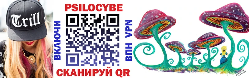 Купить где  Красавино  Псилоцибиновые грибы Cubensis 